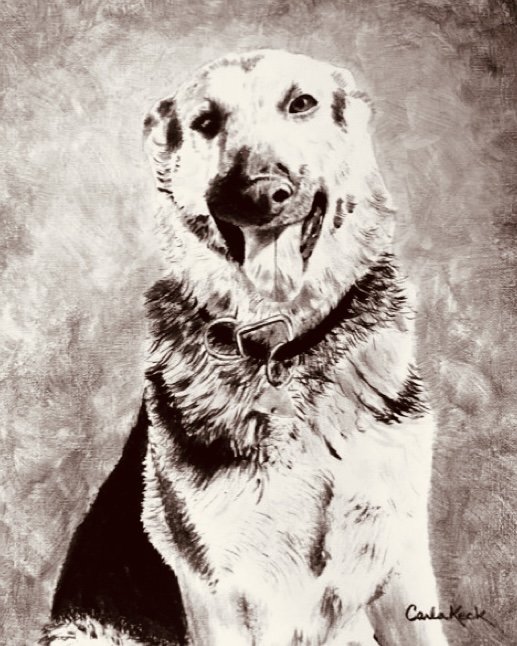 image43.jpeg