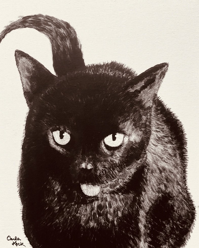 image14.jpeg