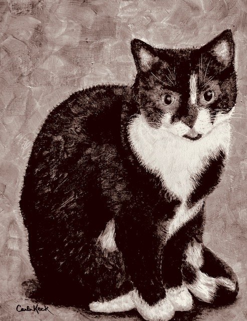 image15.jpeg
