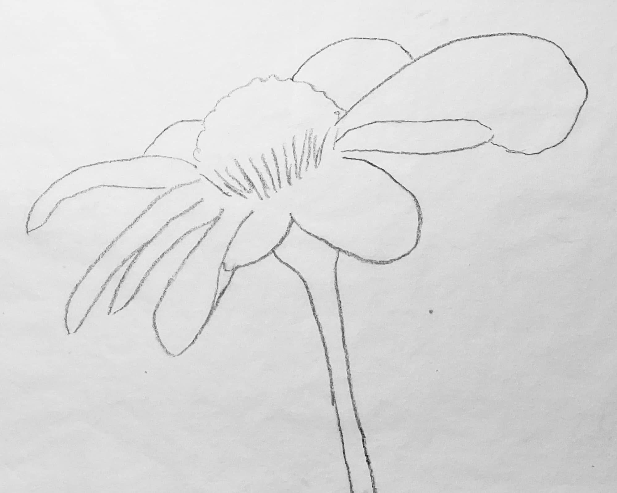 IMG_1711.jpeg