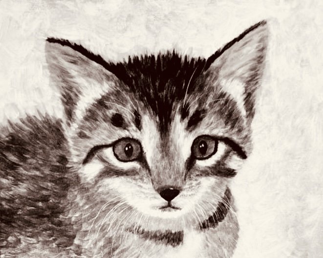 image46.jpeg