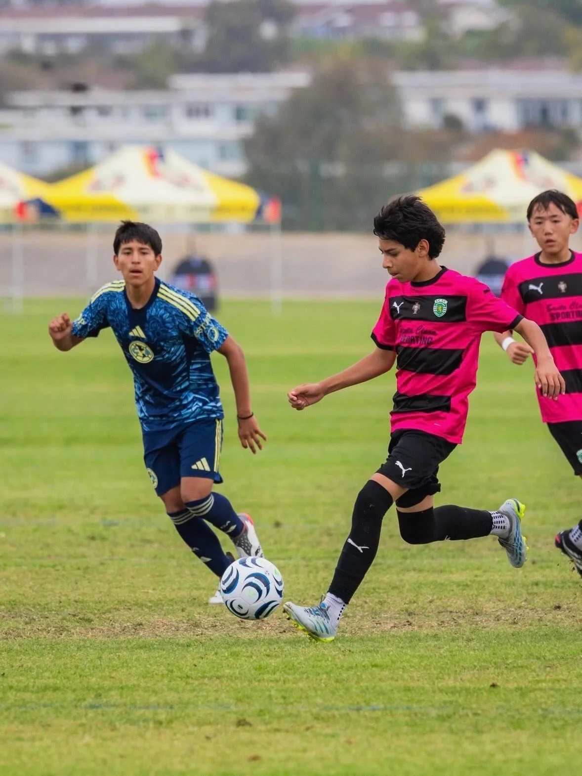 Long weekend recap. 💚

A few snaps from Santa Clara Sporting 2012 Boys competing at the Club Am&eacute;rica Cup in San Diego.