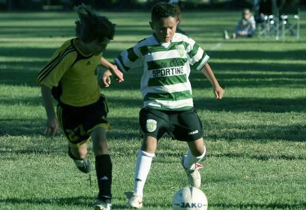 Two young boys playing soccer on a grassy field, one in a yellow and black uniform, the other in a green and white striped uniform, competing for the ball.