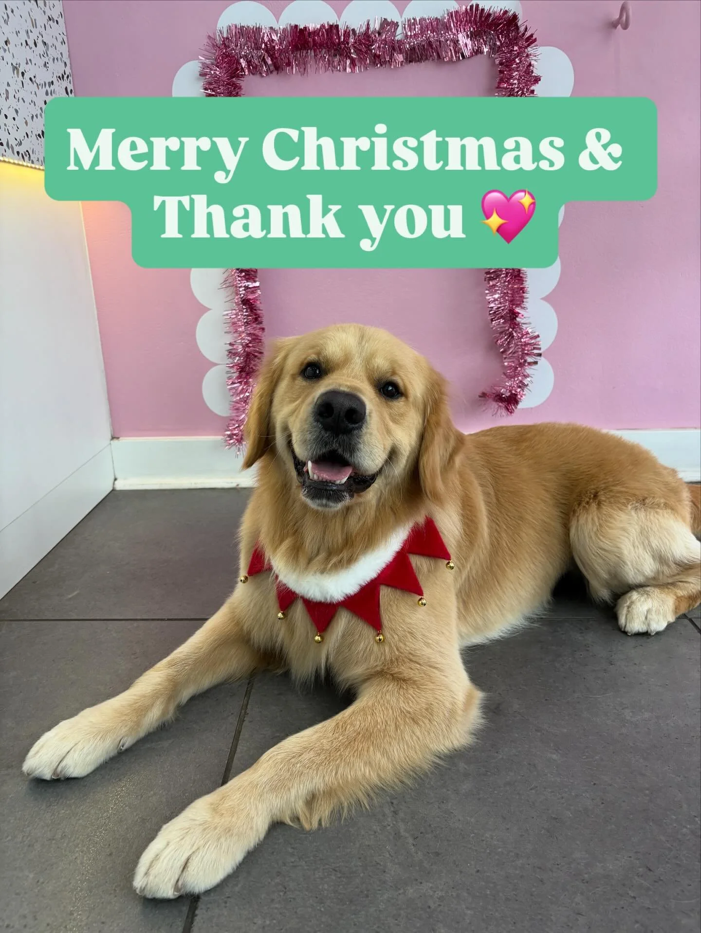 🎄 Merry Christmas &amp; Thank You 🎄

As the year comes to a close, I just want to say the biggest thank you to all of my amazing clients. Your continued support, loyalty, and trust mean more to me than I can put into words.

Thank you for trusting 