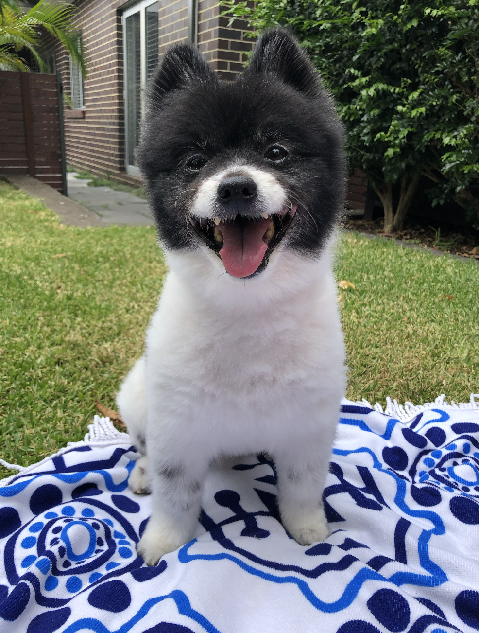 Screen Shot 2025-01-01 at 12.12.44 pm.png