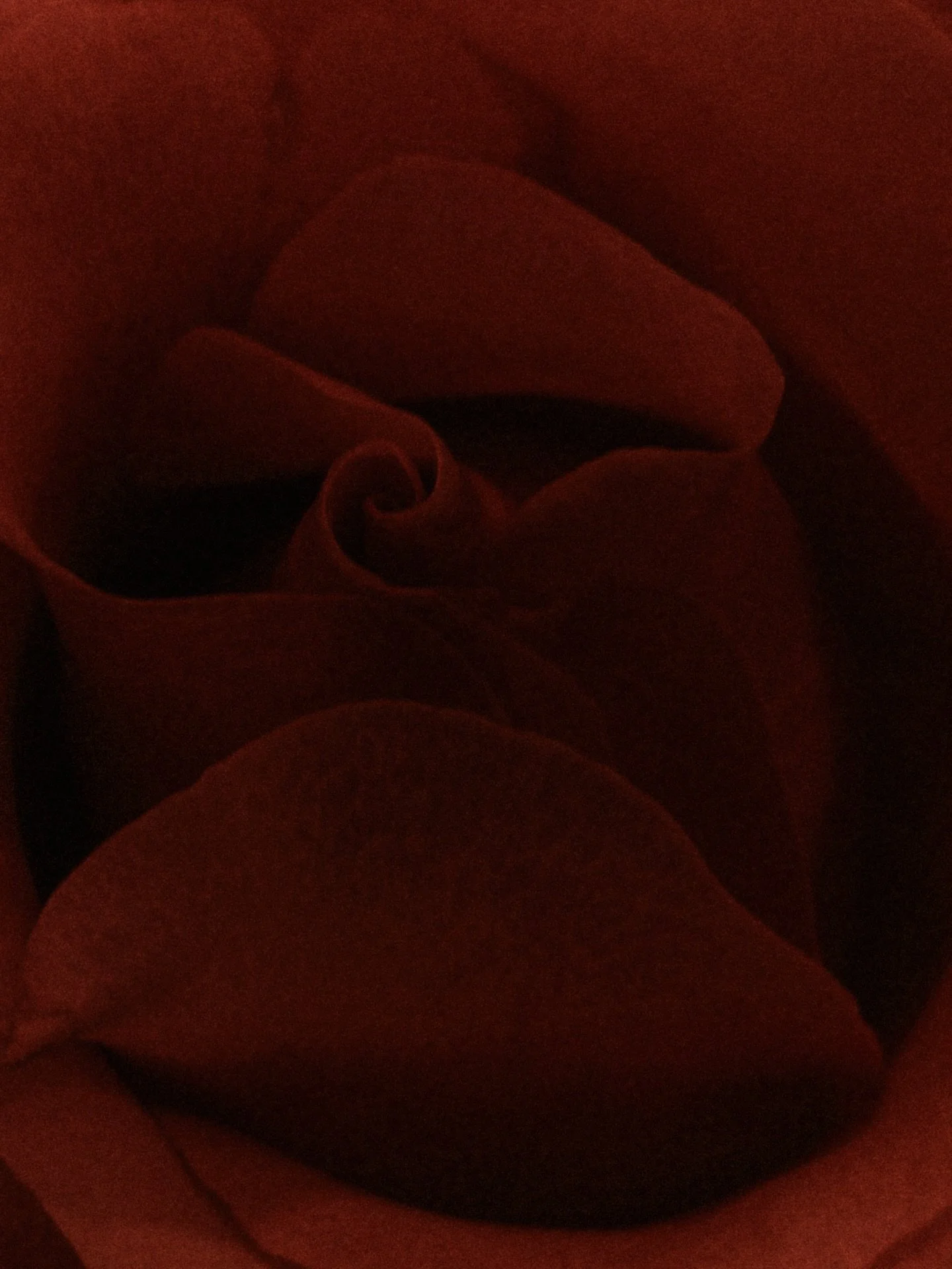 In a time that asks us to harden, we&rsquo;re choosing tenderness.⁠
⁠
Love is a radical act and a choice everyday, a choice to love our neighbors, our community, our brothers &amp; sisters, and the earth around us. ⁠
⁠
Love asks us to pause and to sh