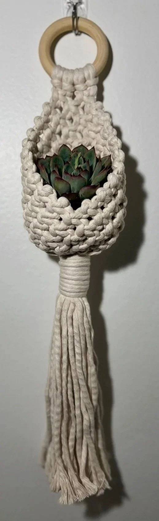 What the Succ?! Let’s Knot.