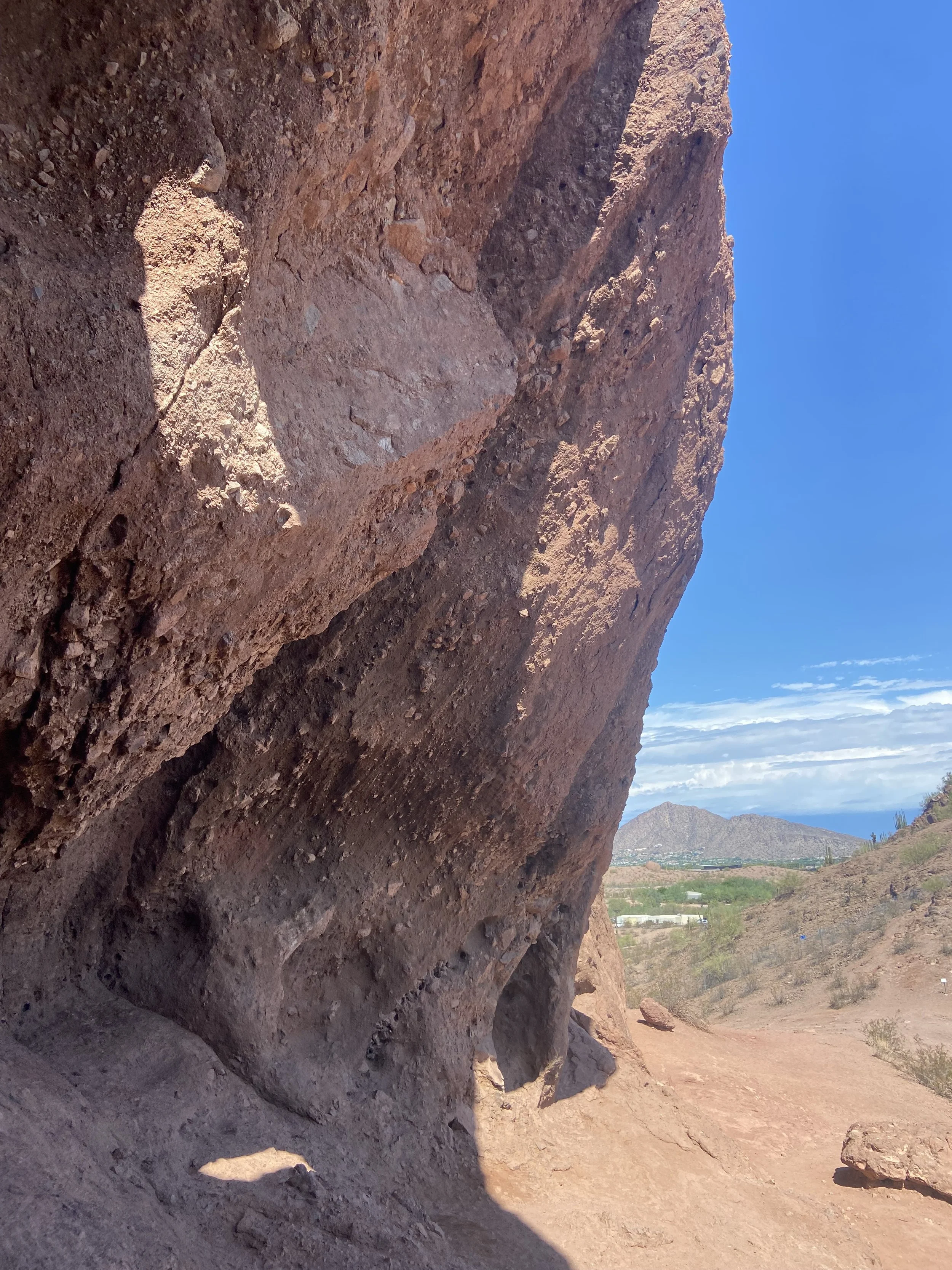 Sunshine Adventures🌿☀️