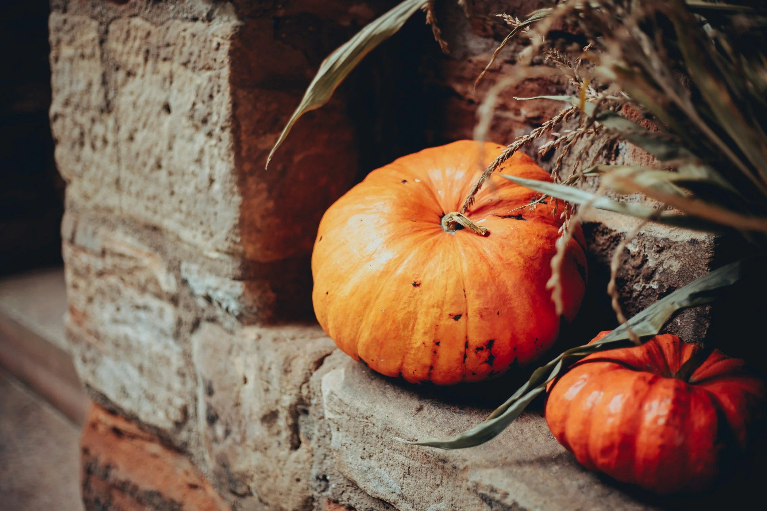 Savor the Season: Mindful Eating Without Guilt