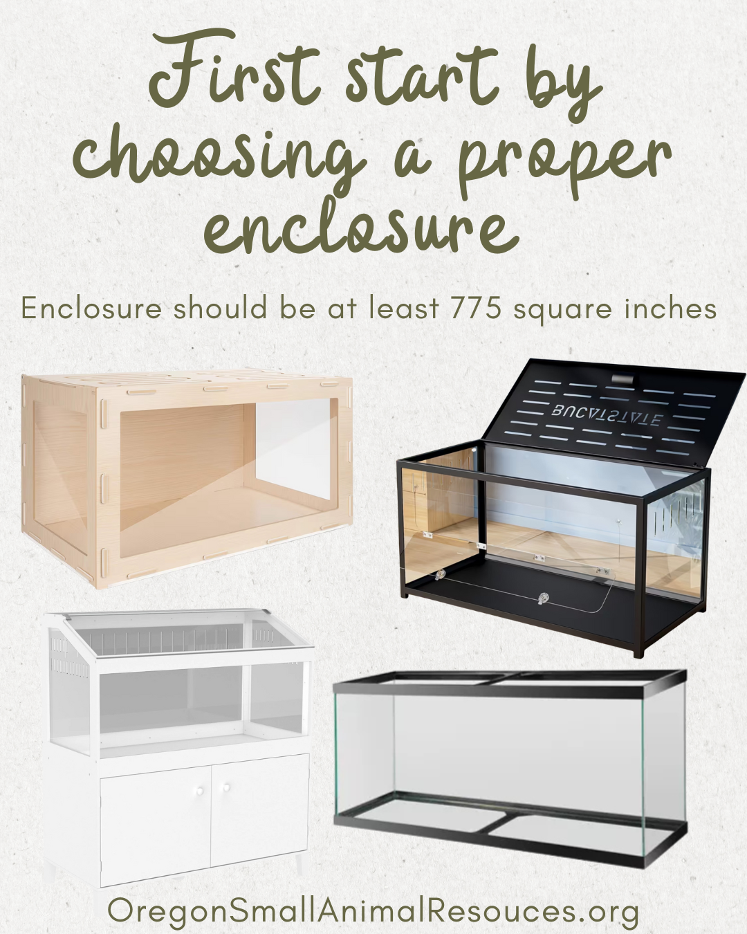 Hamster set up - 2.png