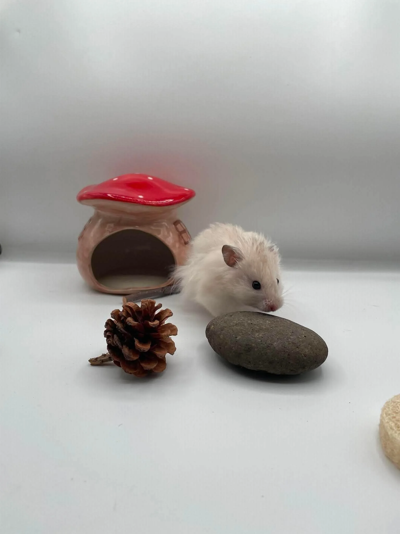 05ab9b465ca4a25b00680cb0b9dba721.jpeg