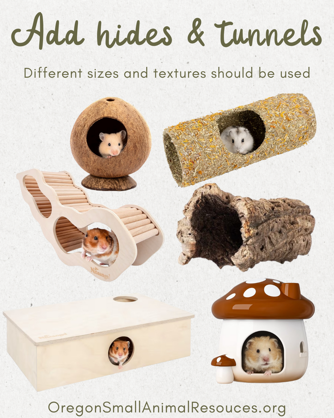 Hamster set up - 5.png