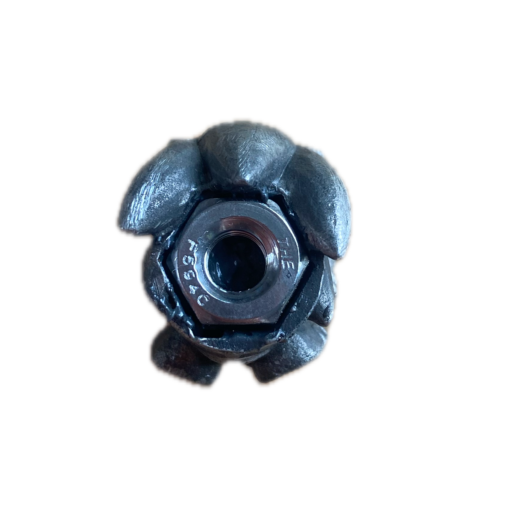 IMG_2855 Background Removed.png