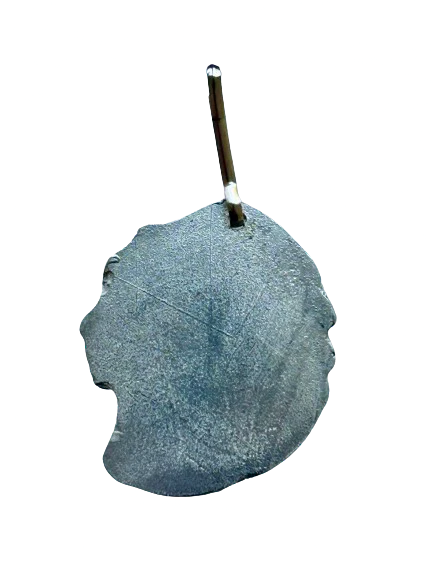 Geronimo zipper back.png