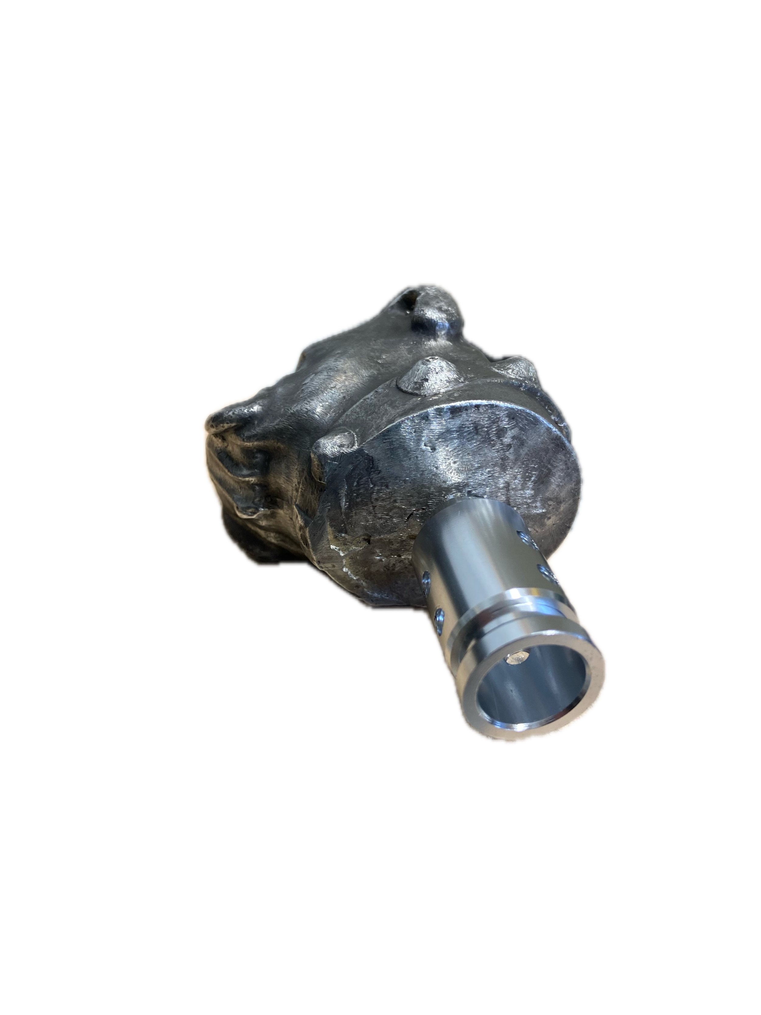 IMG_0986 Background Removed.png