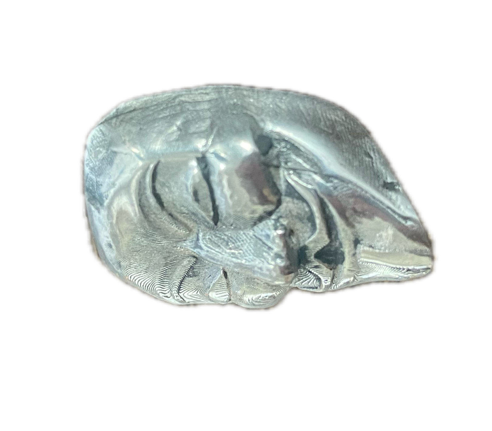 IMG_0875 Background Removed.png