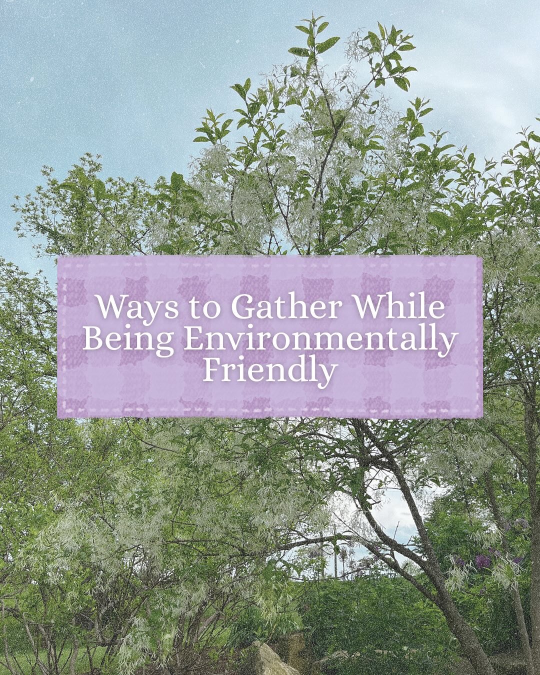 Gather with care.

No matter your reason for joining us, here are 5 ways to make your time at Valaterra more sustainable and aligned with nature. 🌍

Because connection feels better when it&rsquo;s kind to the earth.