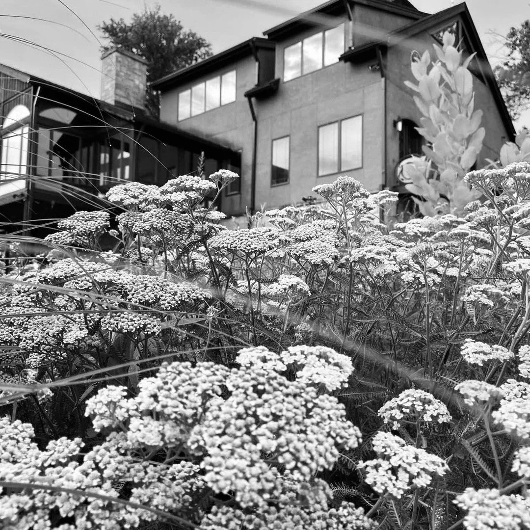 Today is Giving Tuesday&mdash;a day the world comes together to create hope through generosity. We appreciate your donation to further our reach, create new programs, offer Valerie's GRACE to those in need, and continue to create a magical sanctuary 