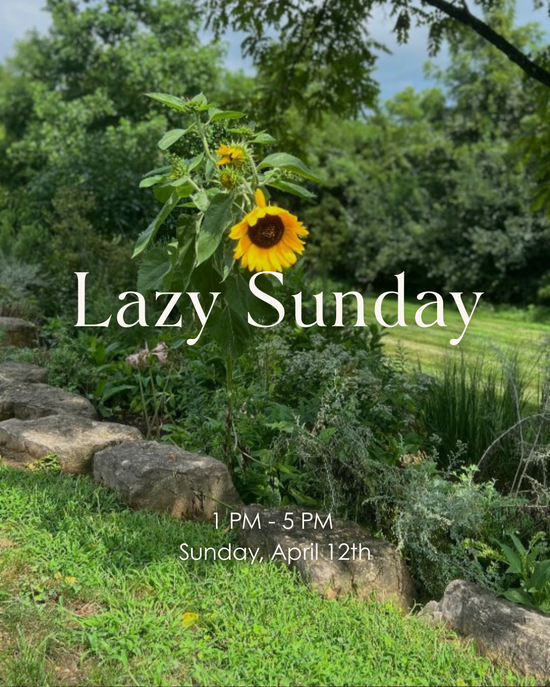 April’s Lazy Sunday 