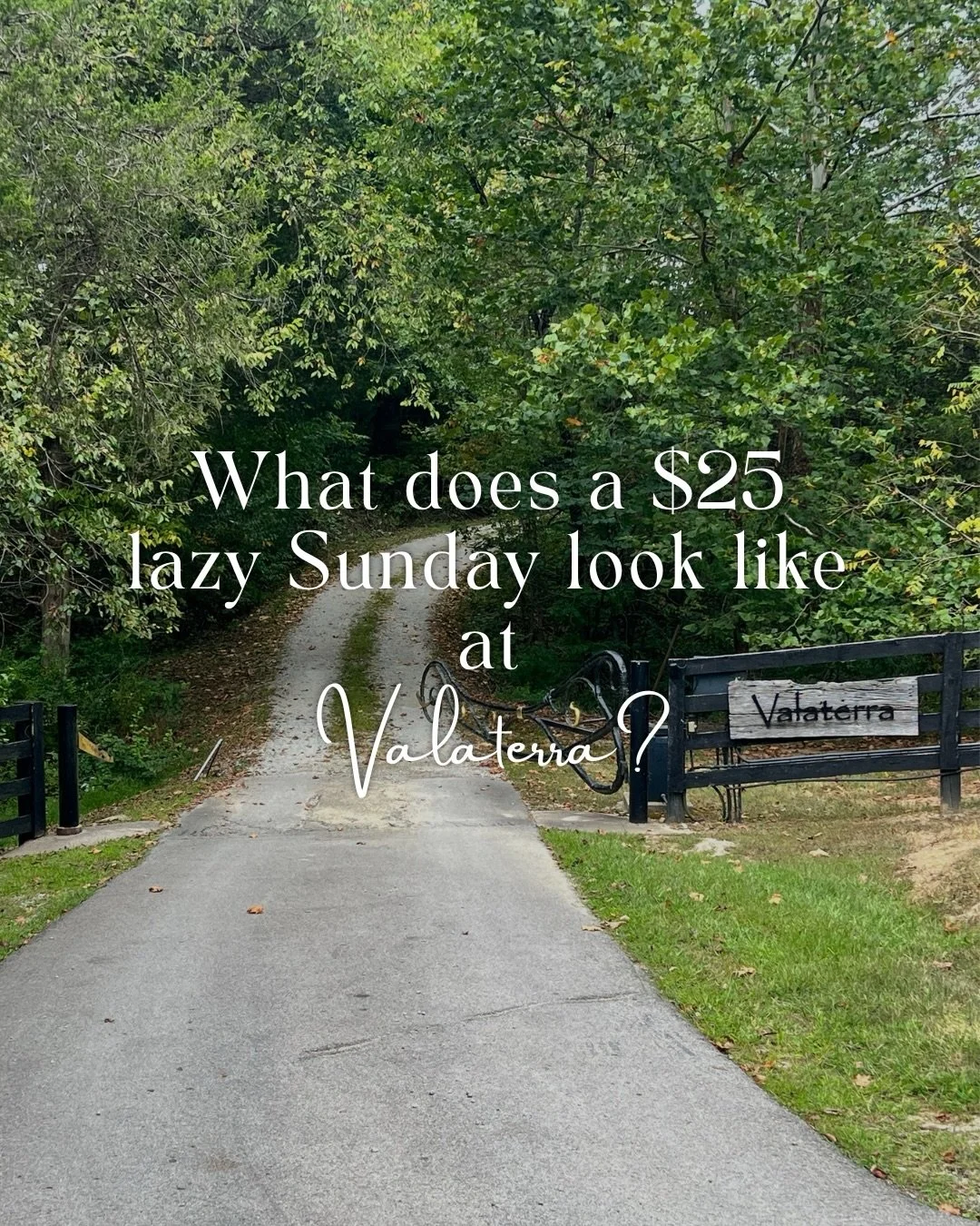 The gates are open! 

Lazy Sundays have something for everyone! Explore 100 acres, join a free mindfulness session, and just... breathe.

We limit spots to 100 people to keep things peaceful, so snag yours at the link in our bio! (We can&rsquo;t wait
