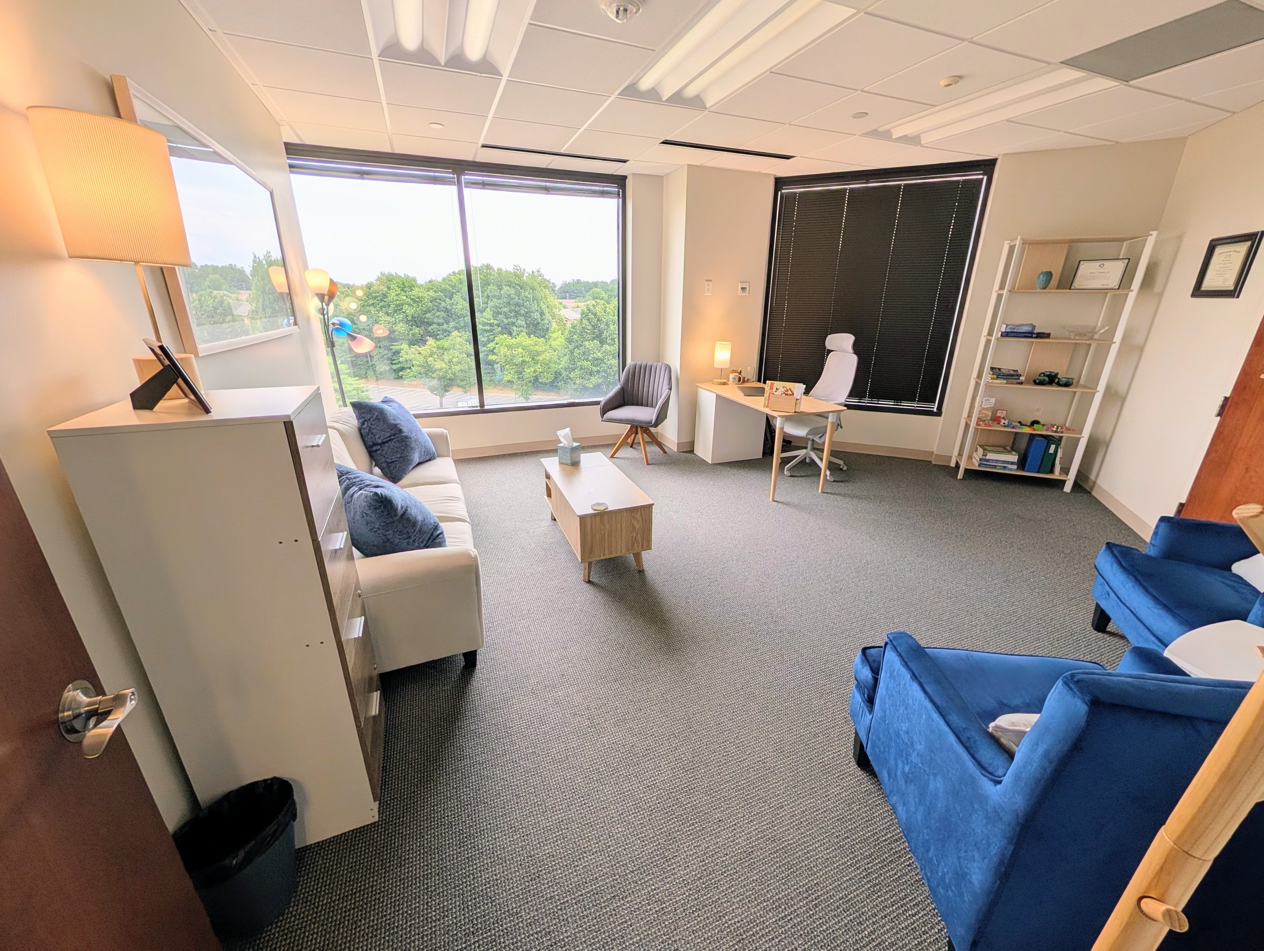 therapy office 5