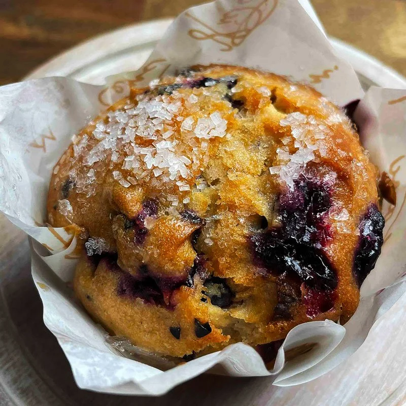 Blueberry Muffin