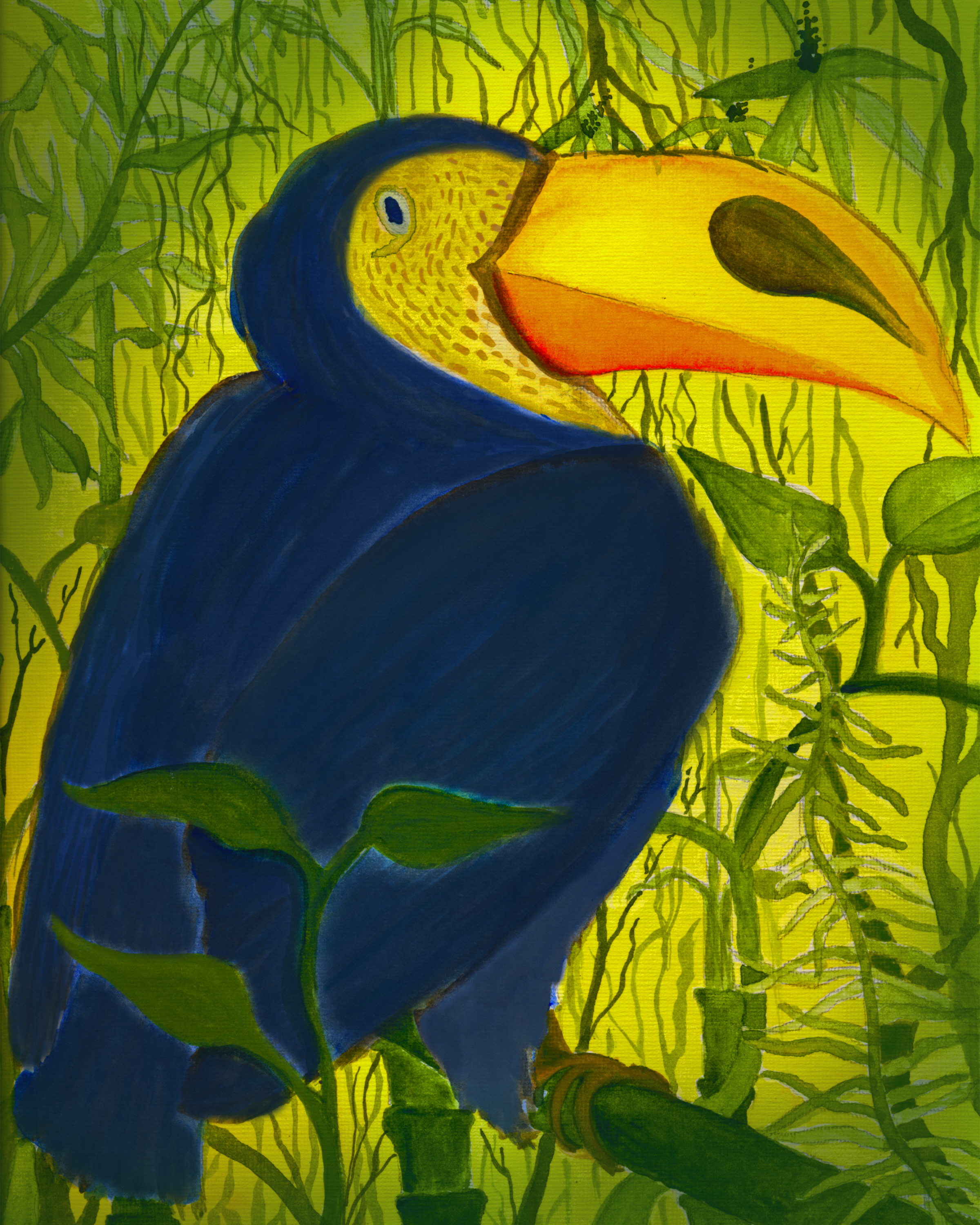 Toucan (Print) 8x10"