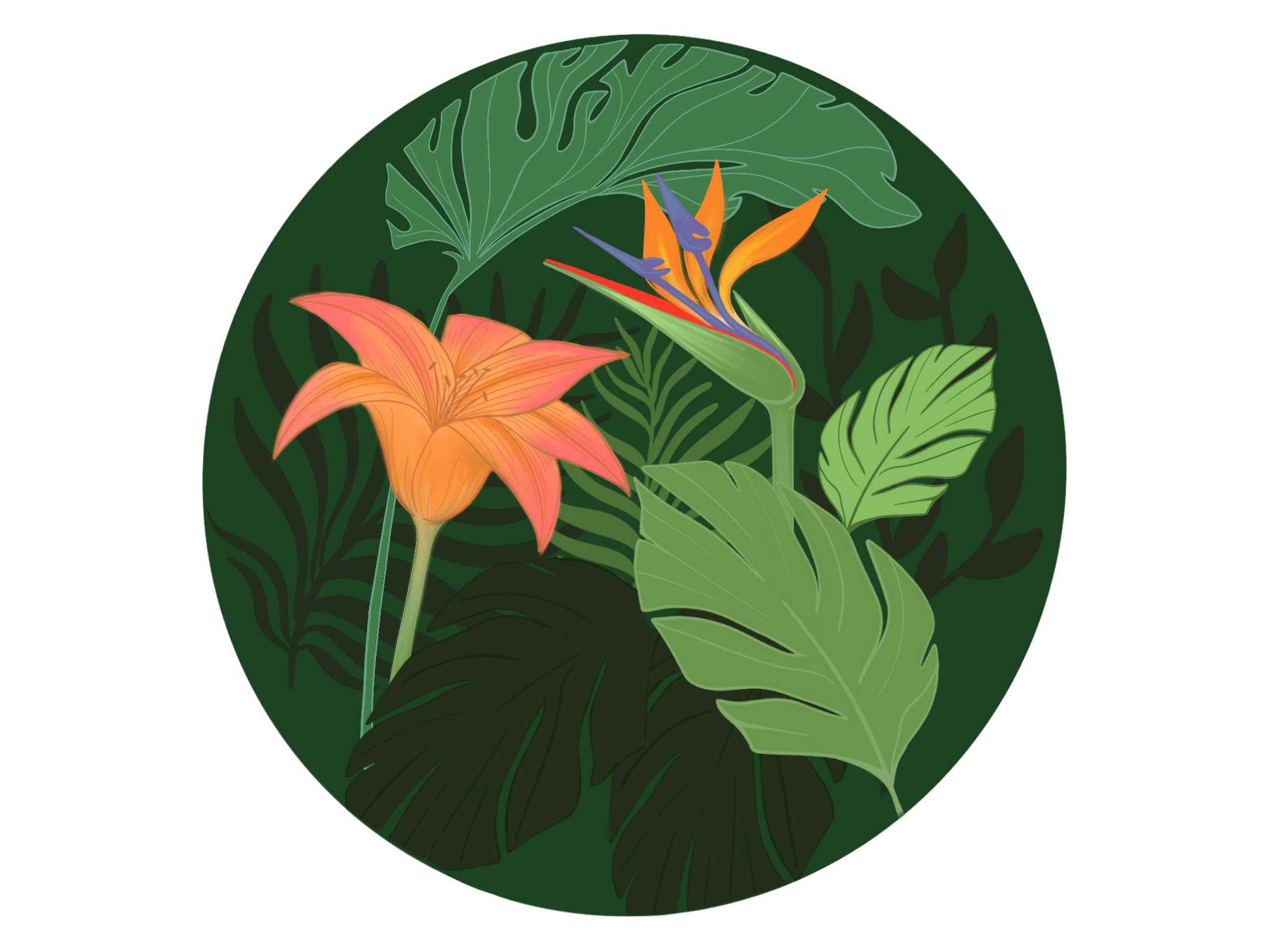 Untitled_Artwork.png