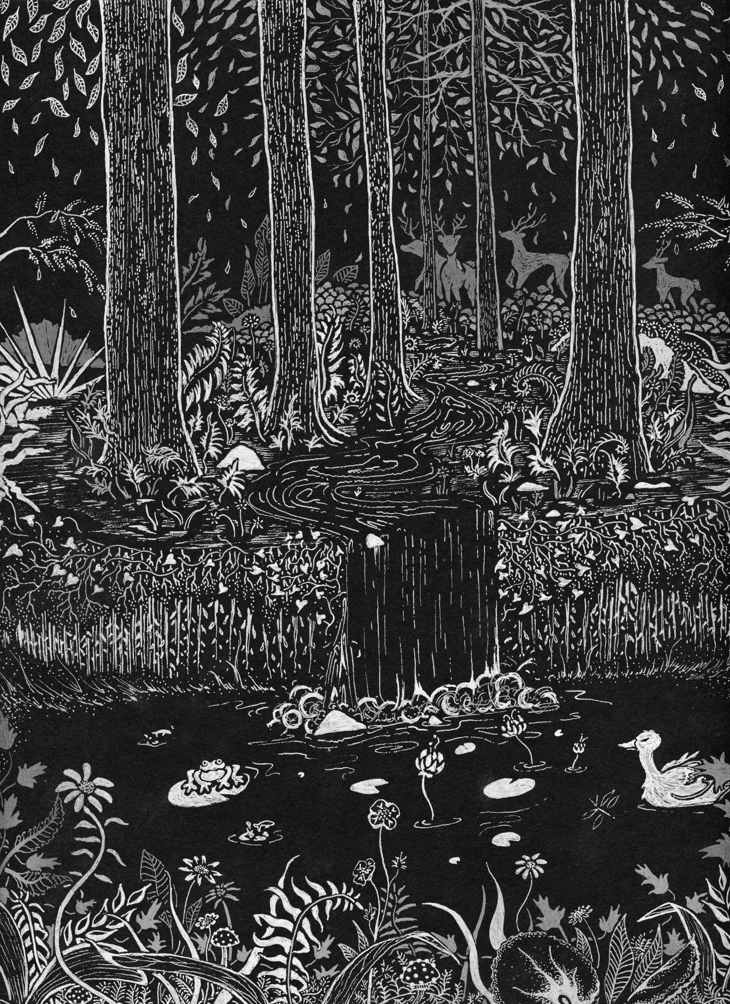 The Forest Floor (Print) 8x10"