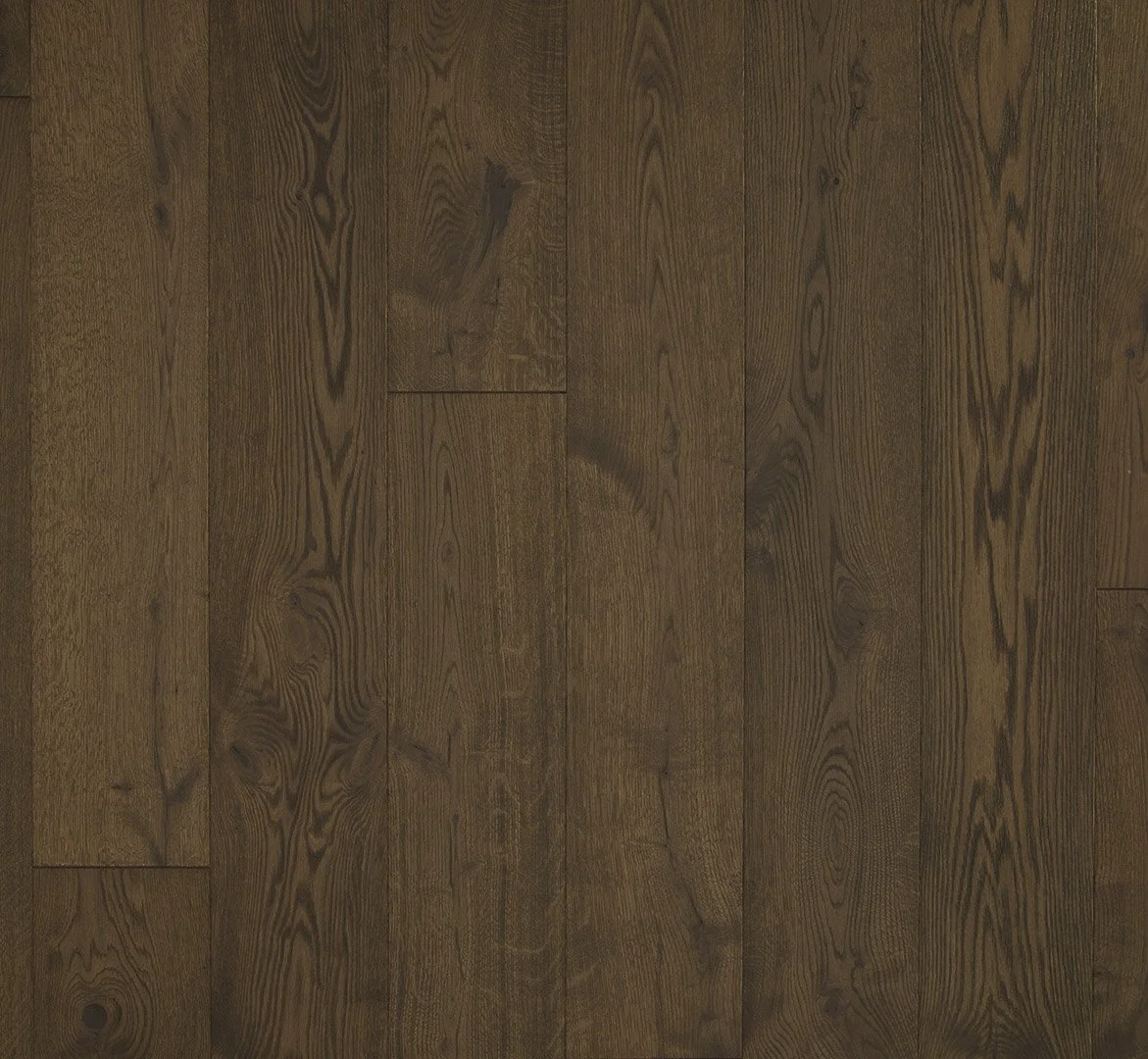 Harmonia Sensus Espresso 2.jpg