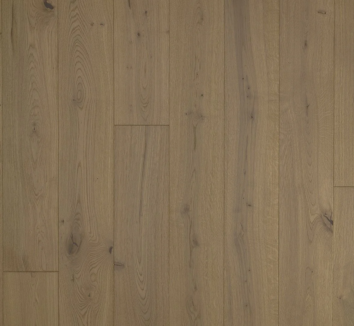 Harmonia Oak Sensus Nougat 2.jpg