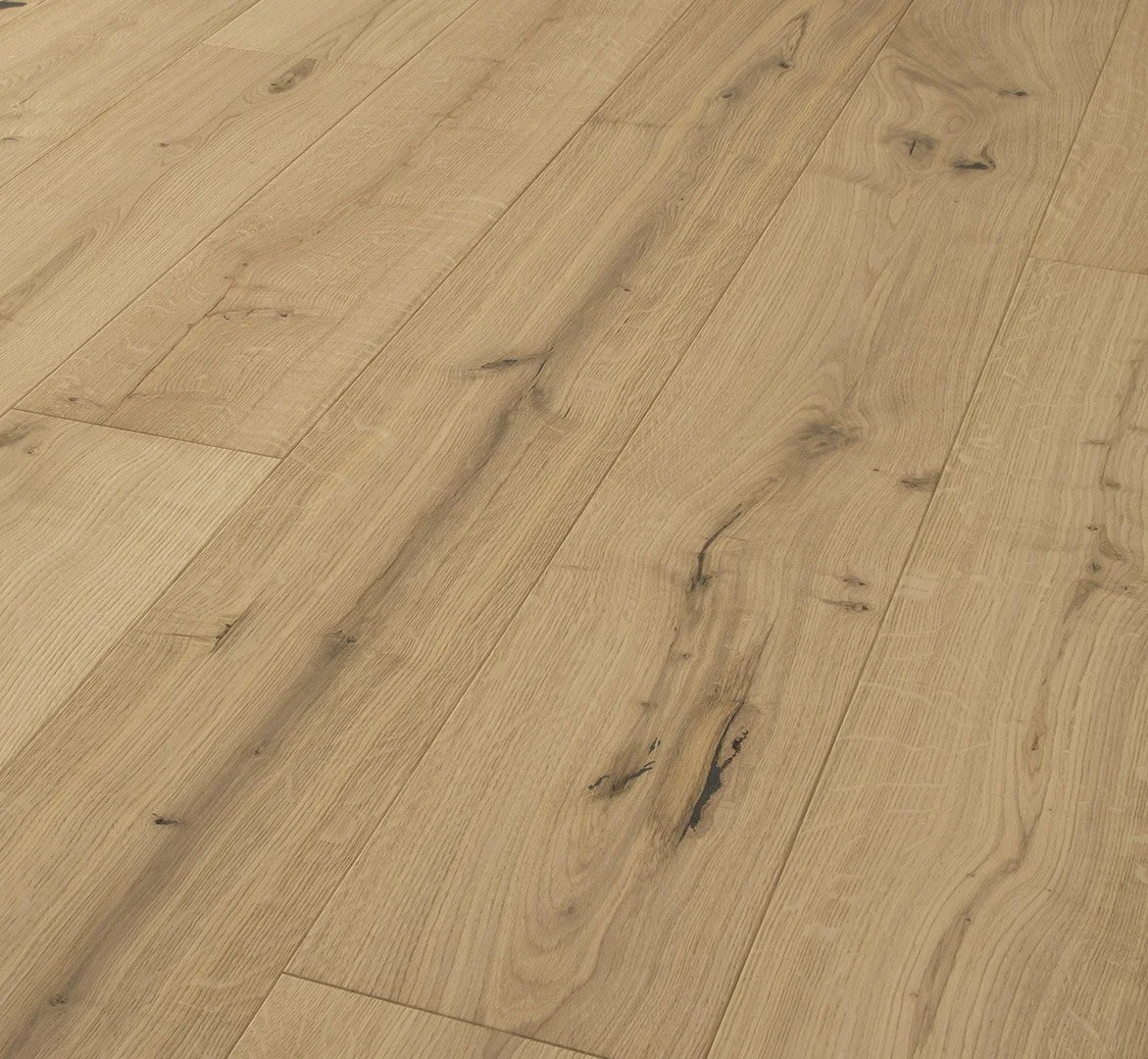 Harmonia Sensus Champagne.jpg