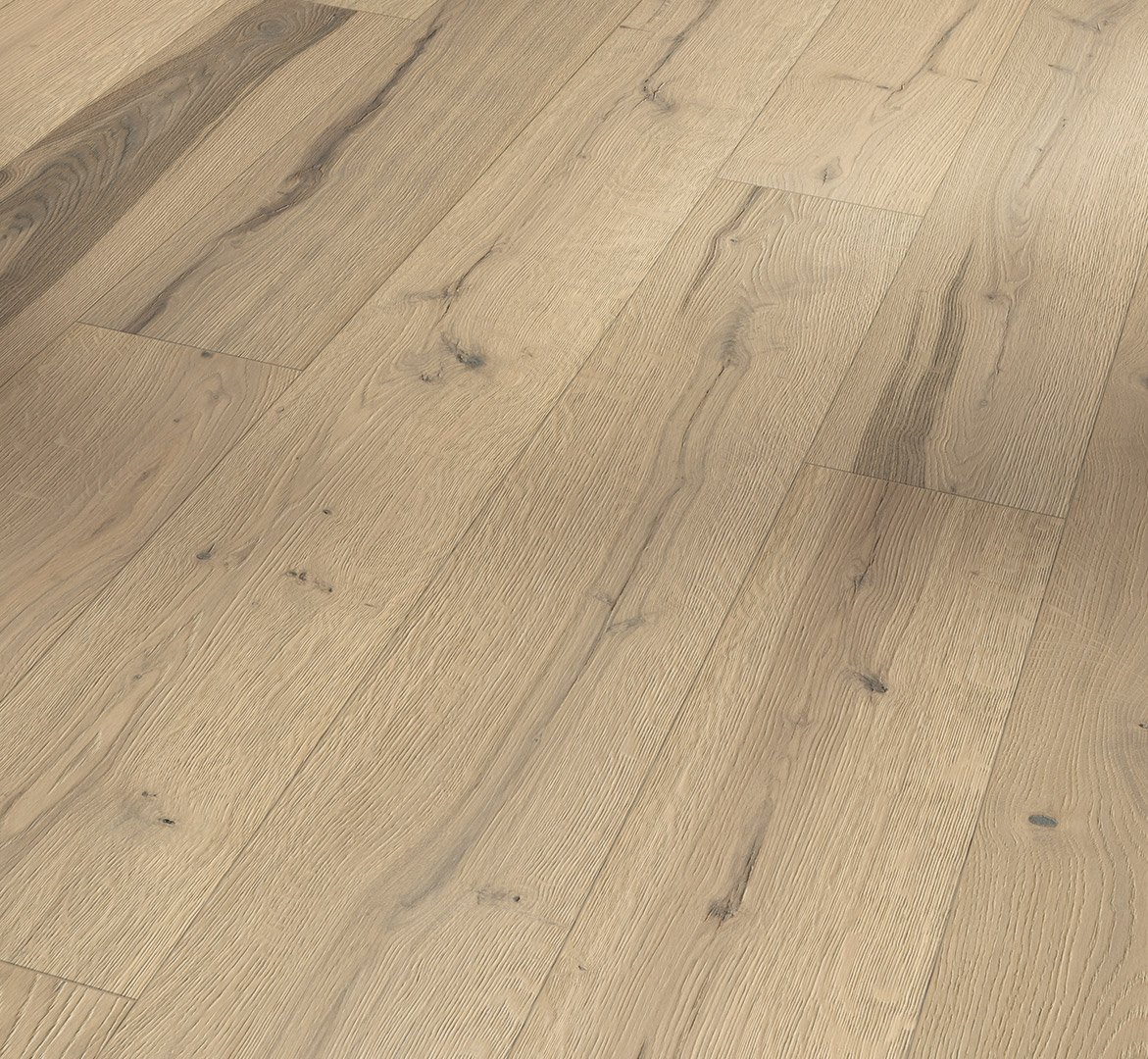 Harmonia Sensus Acorn.jpg