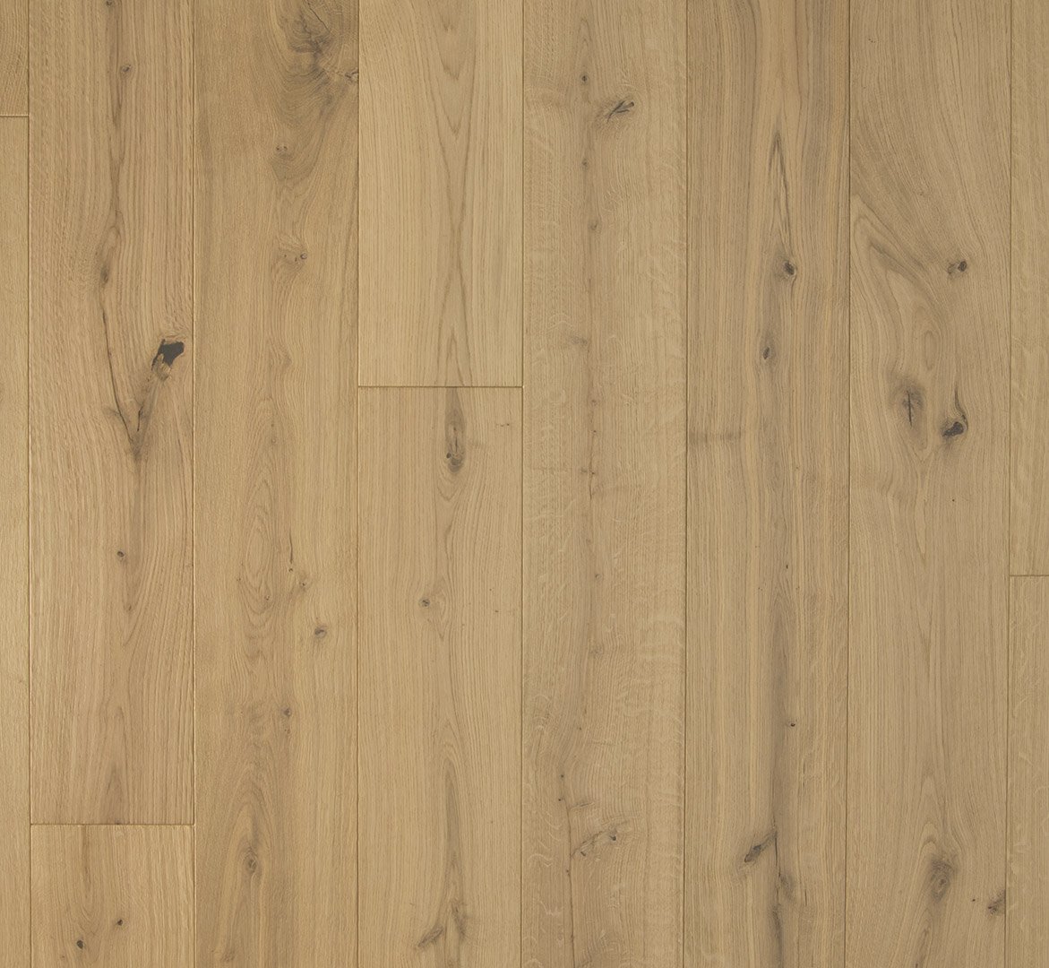 Harmonia Oak Sensus Champagne 2.jpg