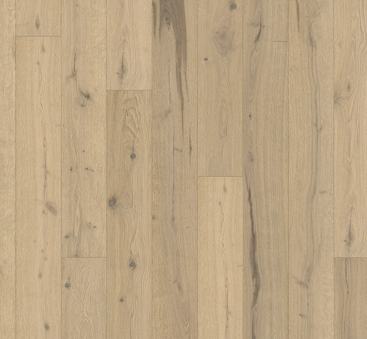 Harmonia Sensus Acorn 2.jpg