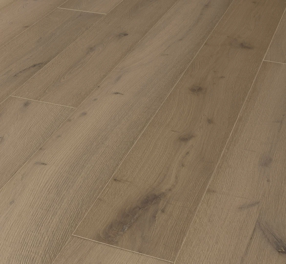 Harmonia Oak Sensus Brunet 1.jpg