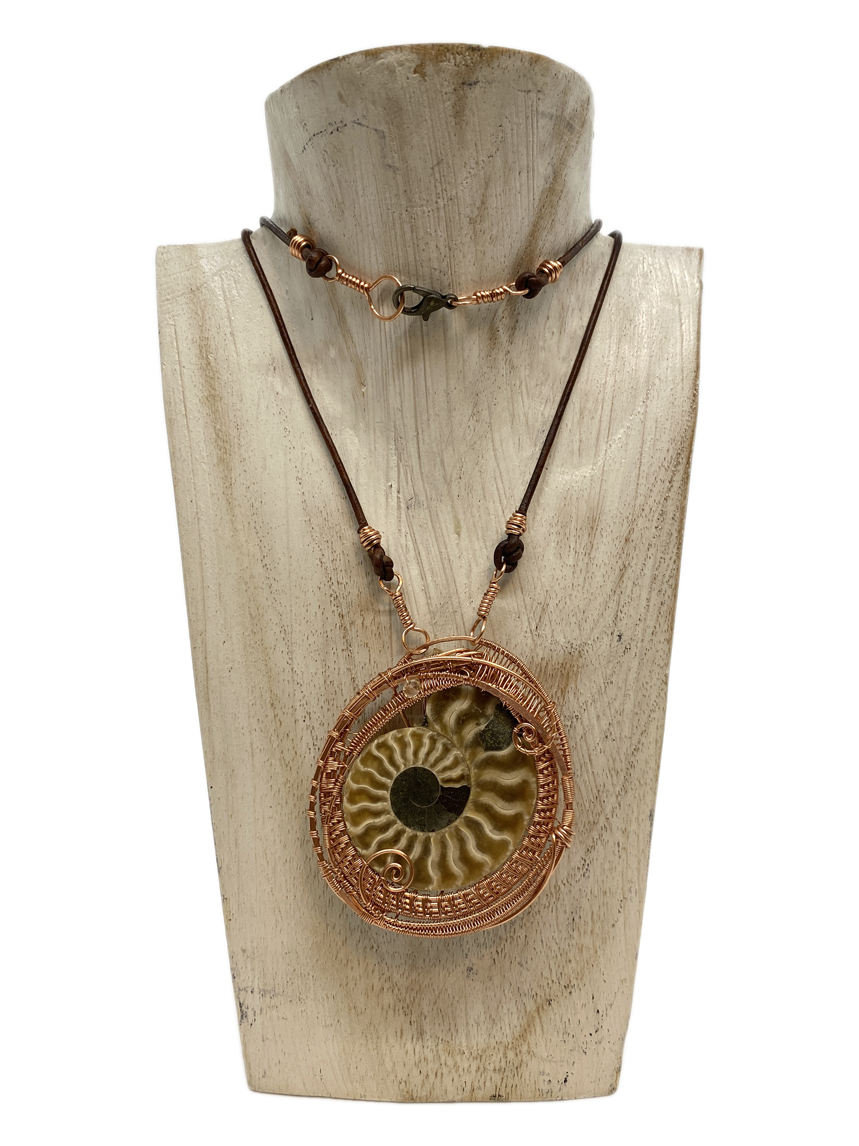 Ammonite Fossil in Copper