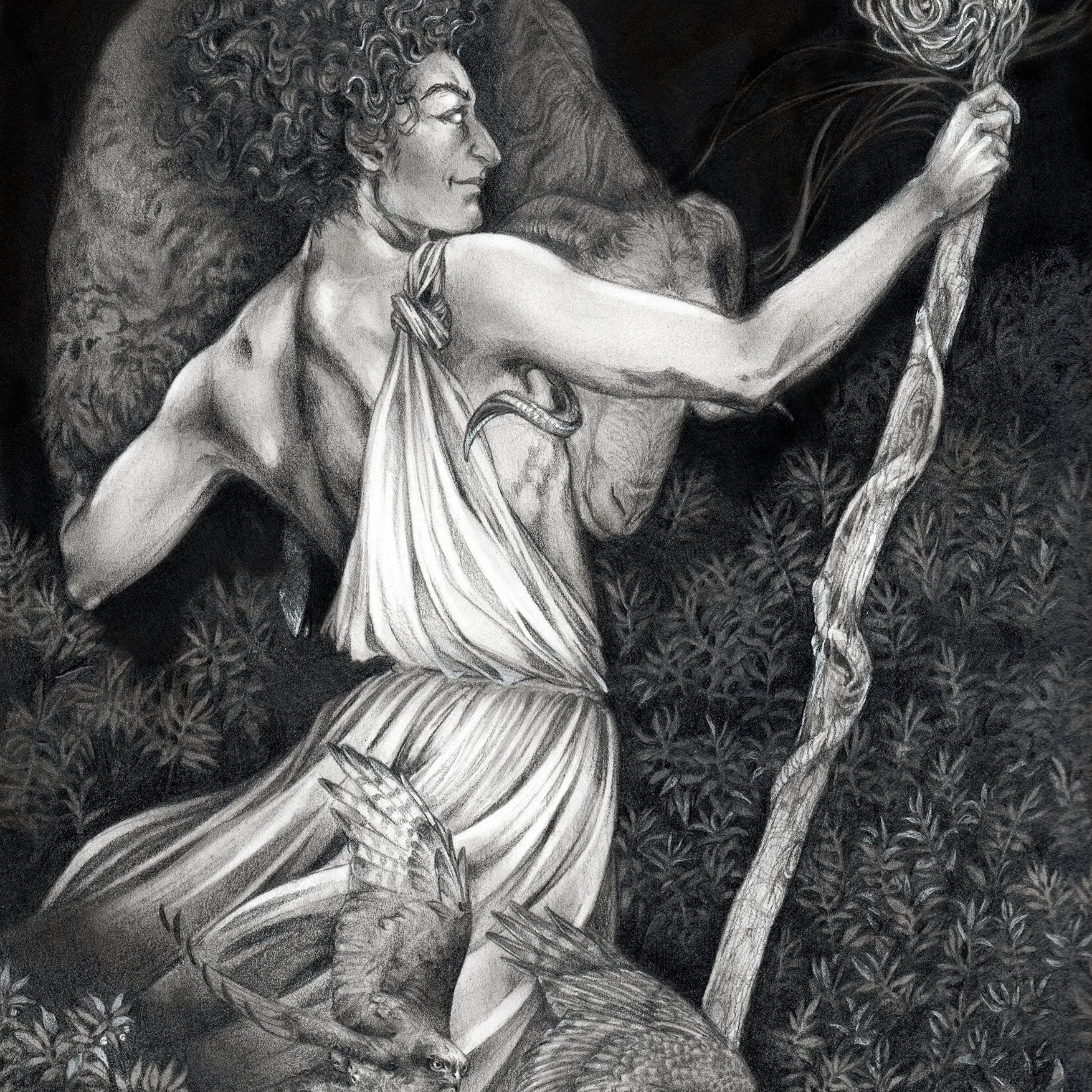 8x10" Graphite Commission