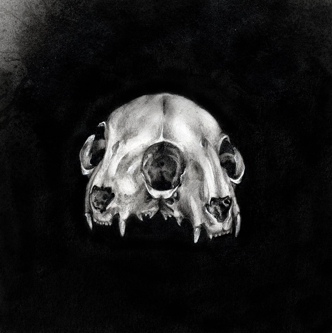 twin skull web edit.jpg