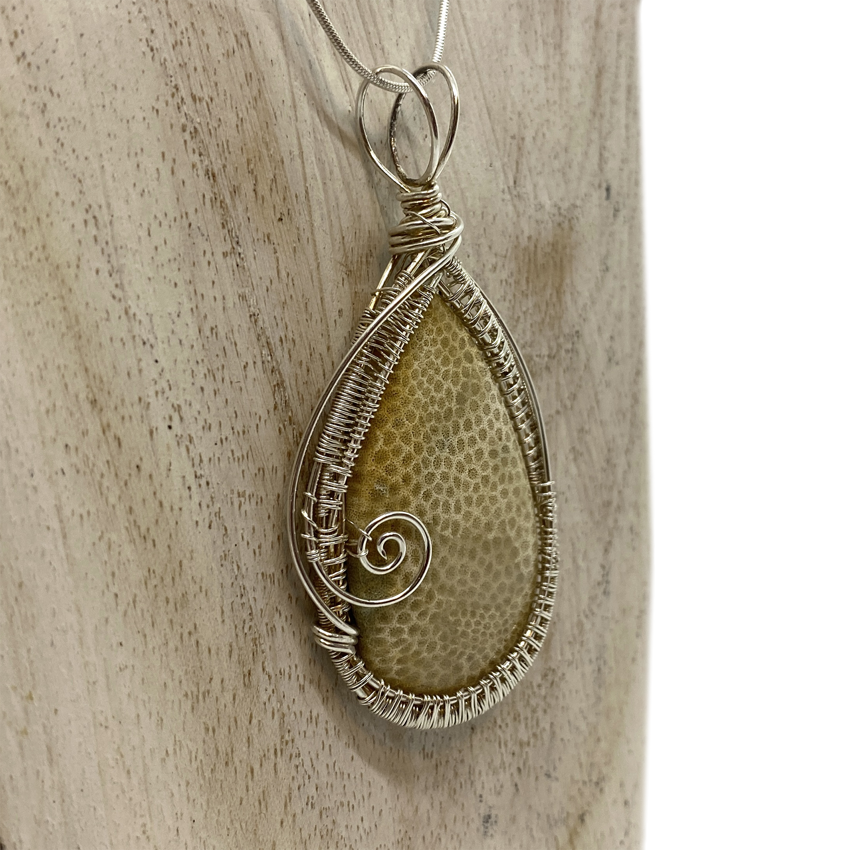 fossil coral 5.png