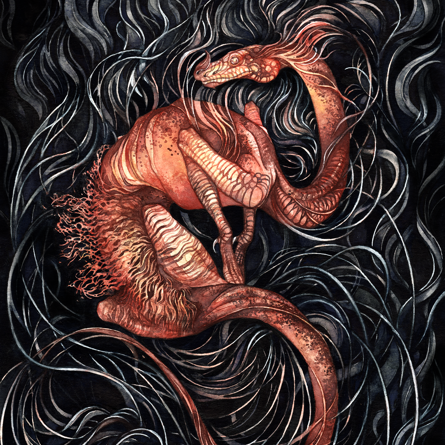 salamander web edit sq.png