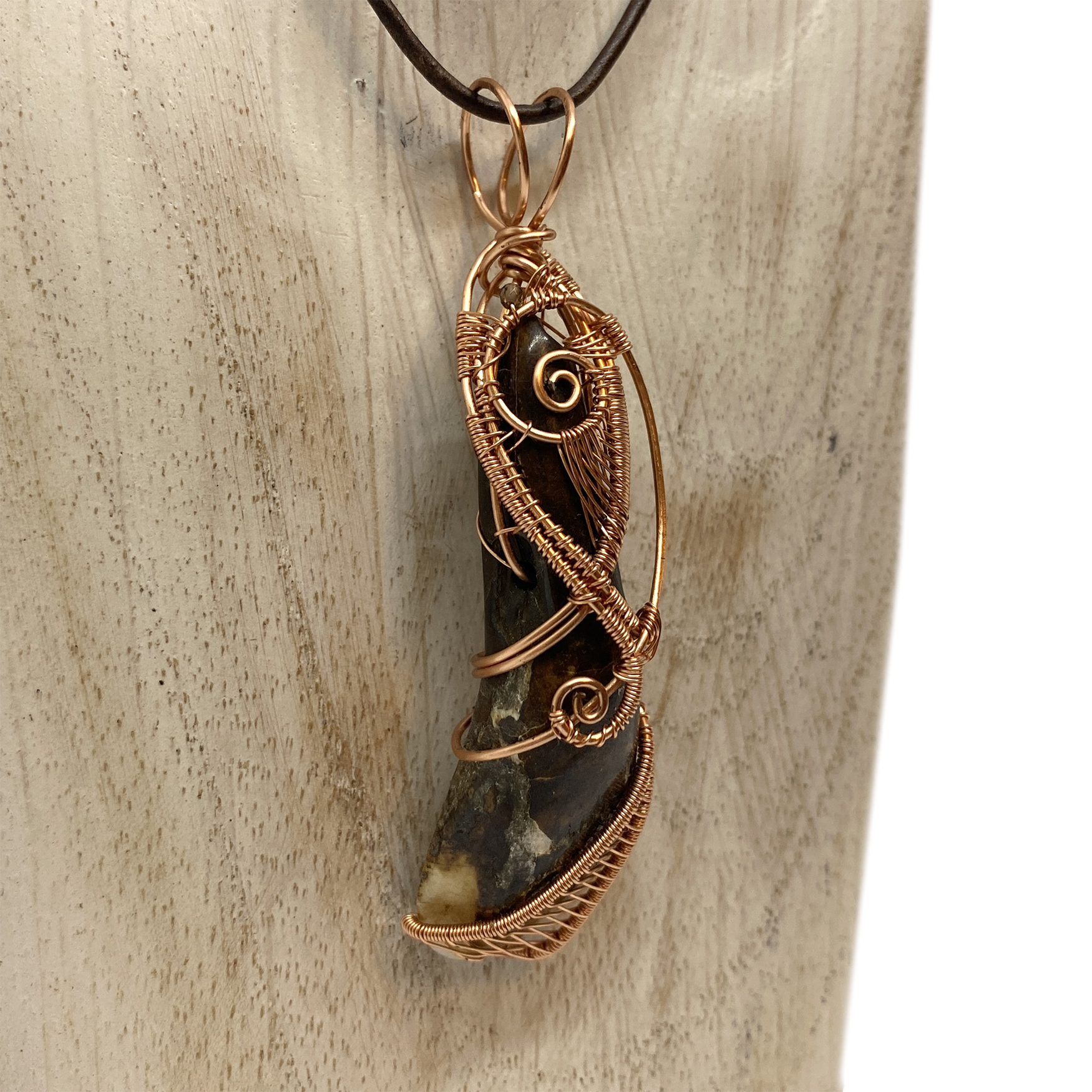 buffalo tooth 2-3.png