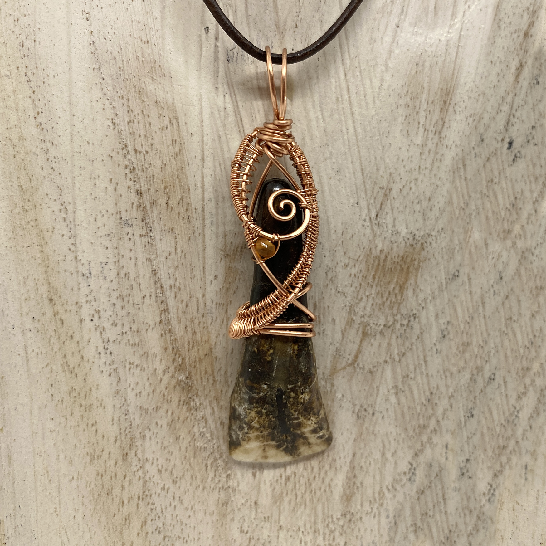 Buffalo Tooth in Copper