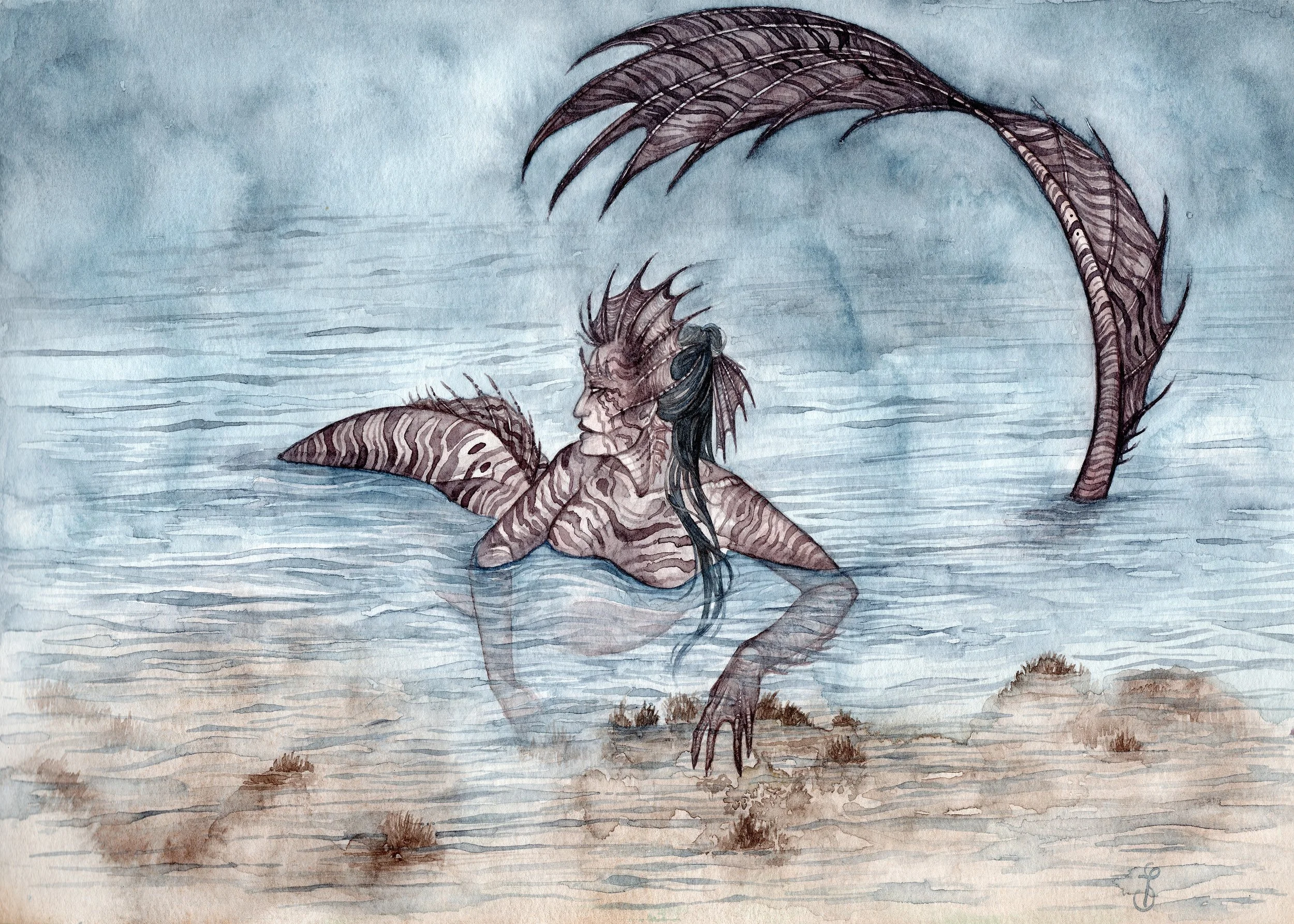 Lionfish - Available