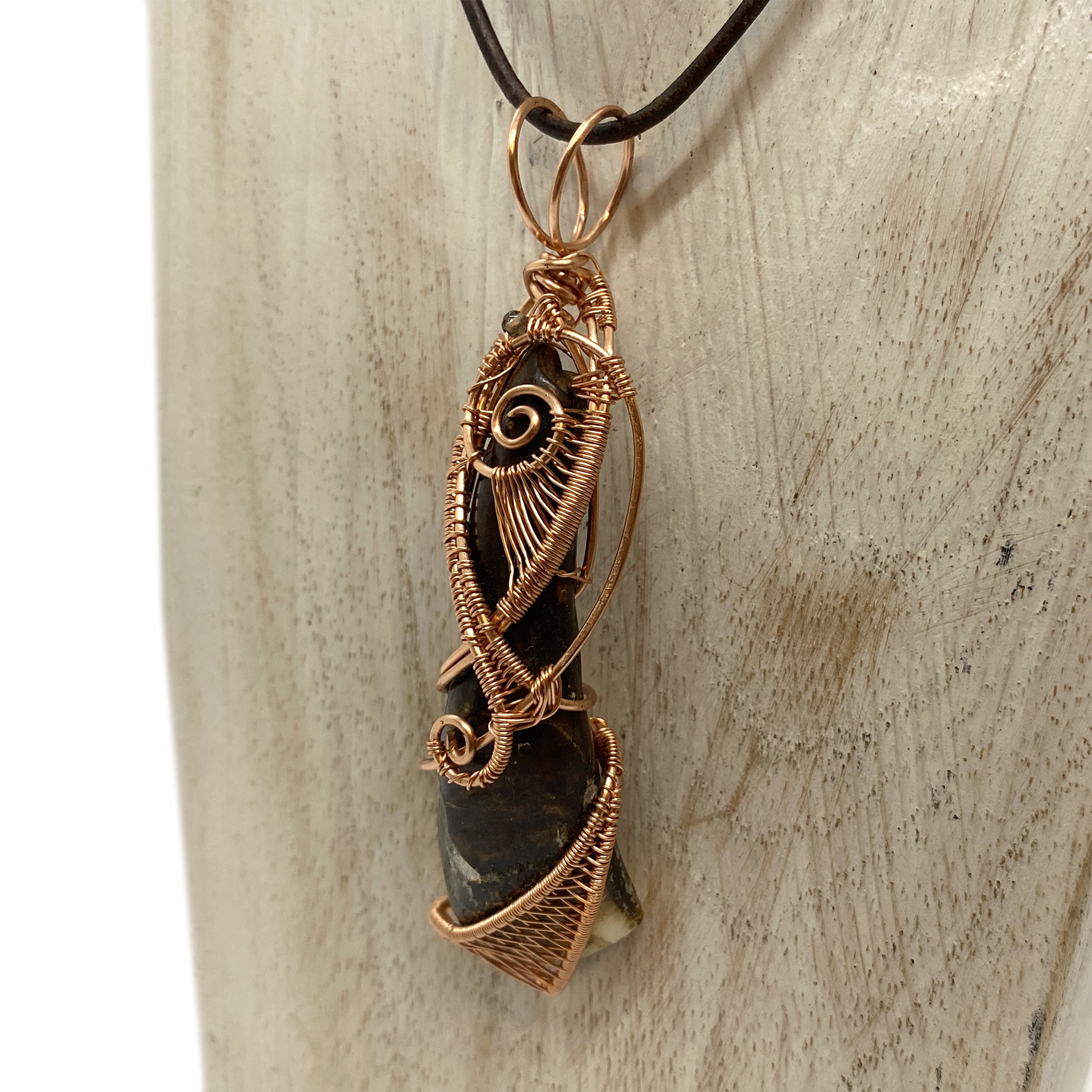 buffalo tooth 2-5.png