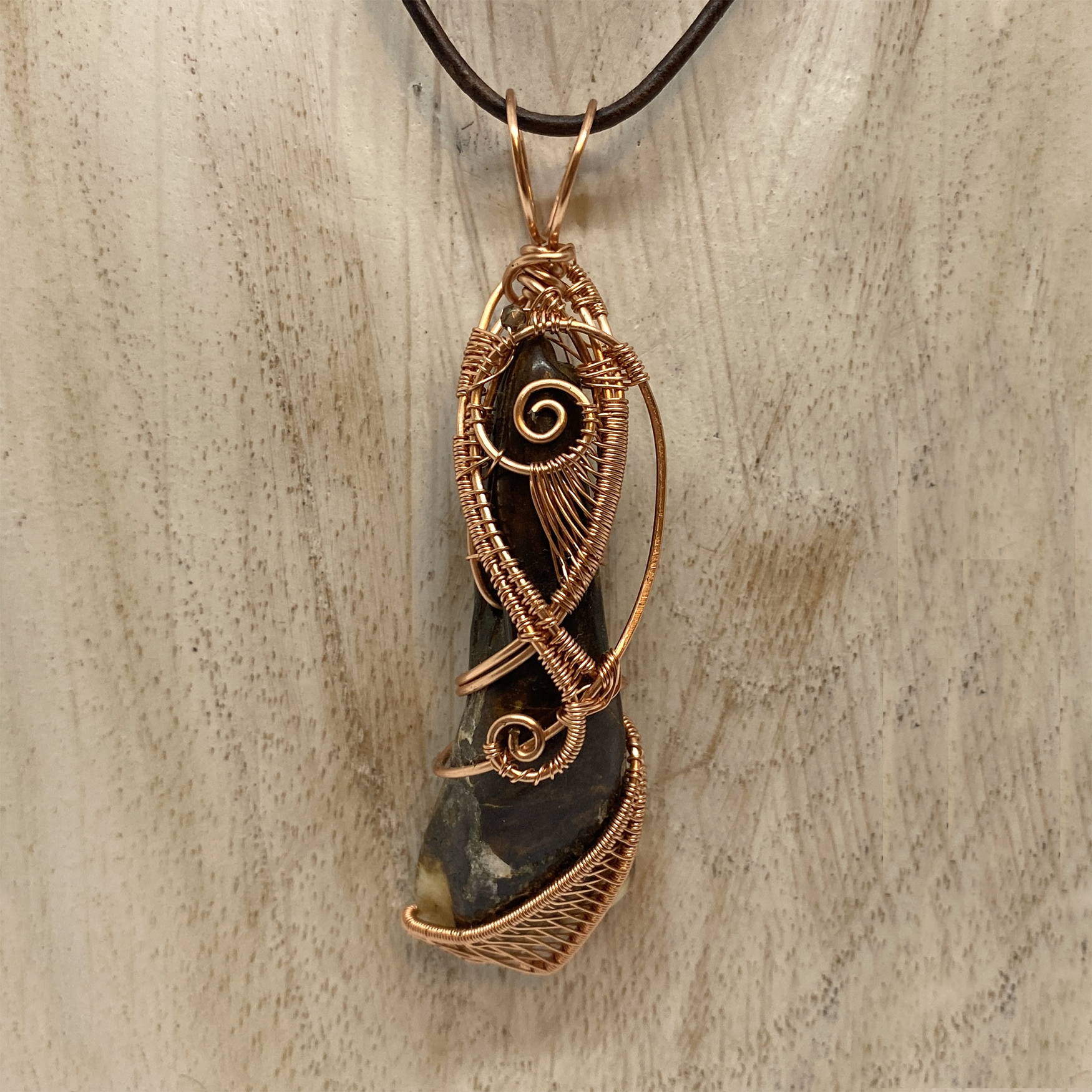 Buffalo Tooth in Copper