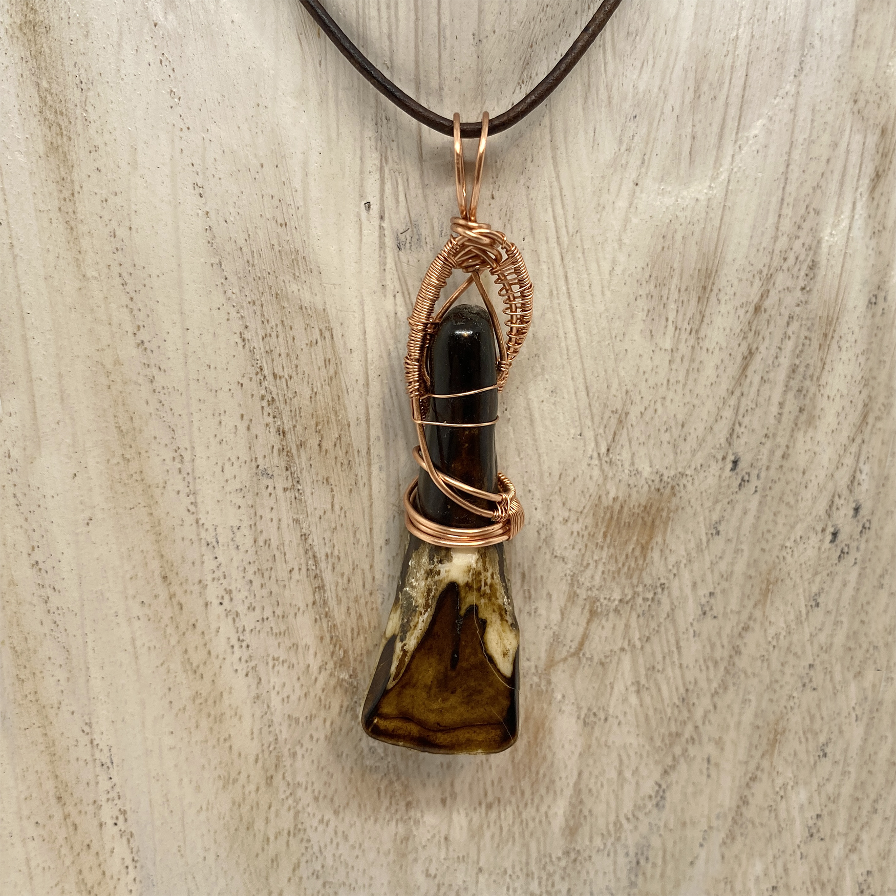 buffalo tooth 1 back.png