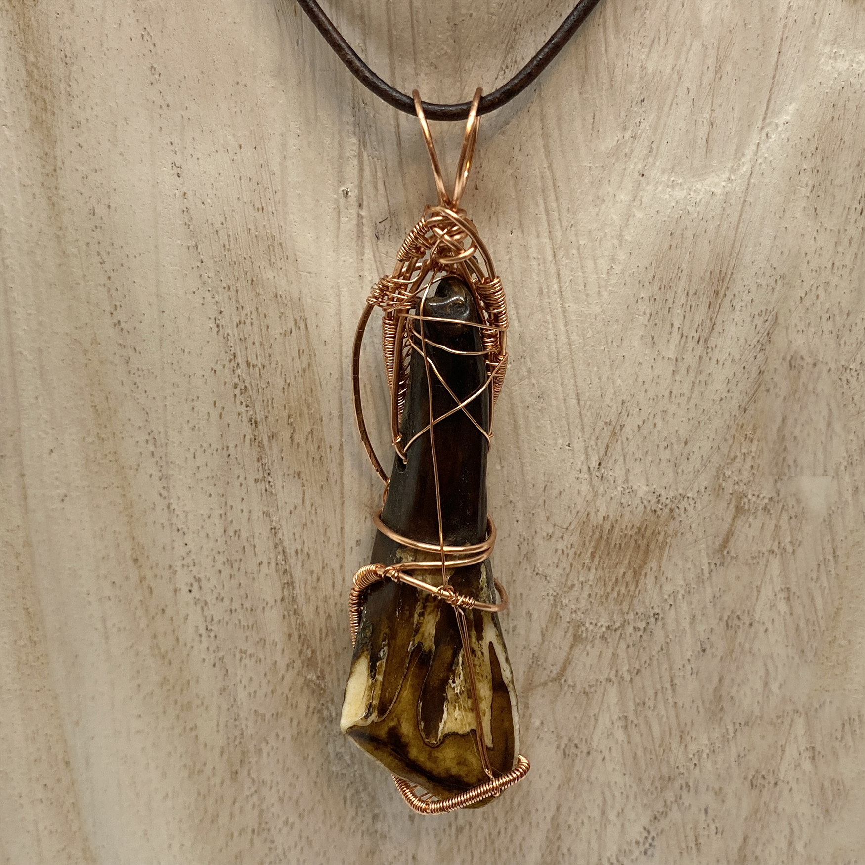 buffalo tooth 2-2.png