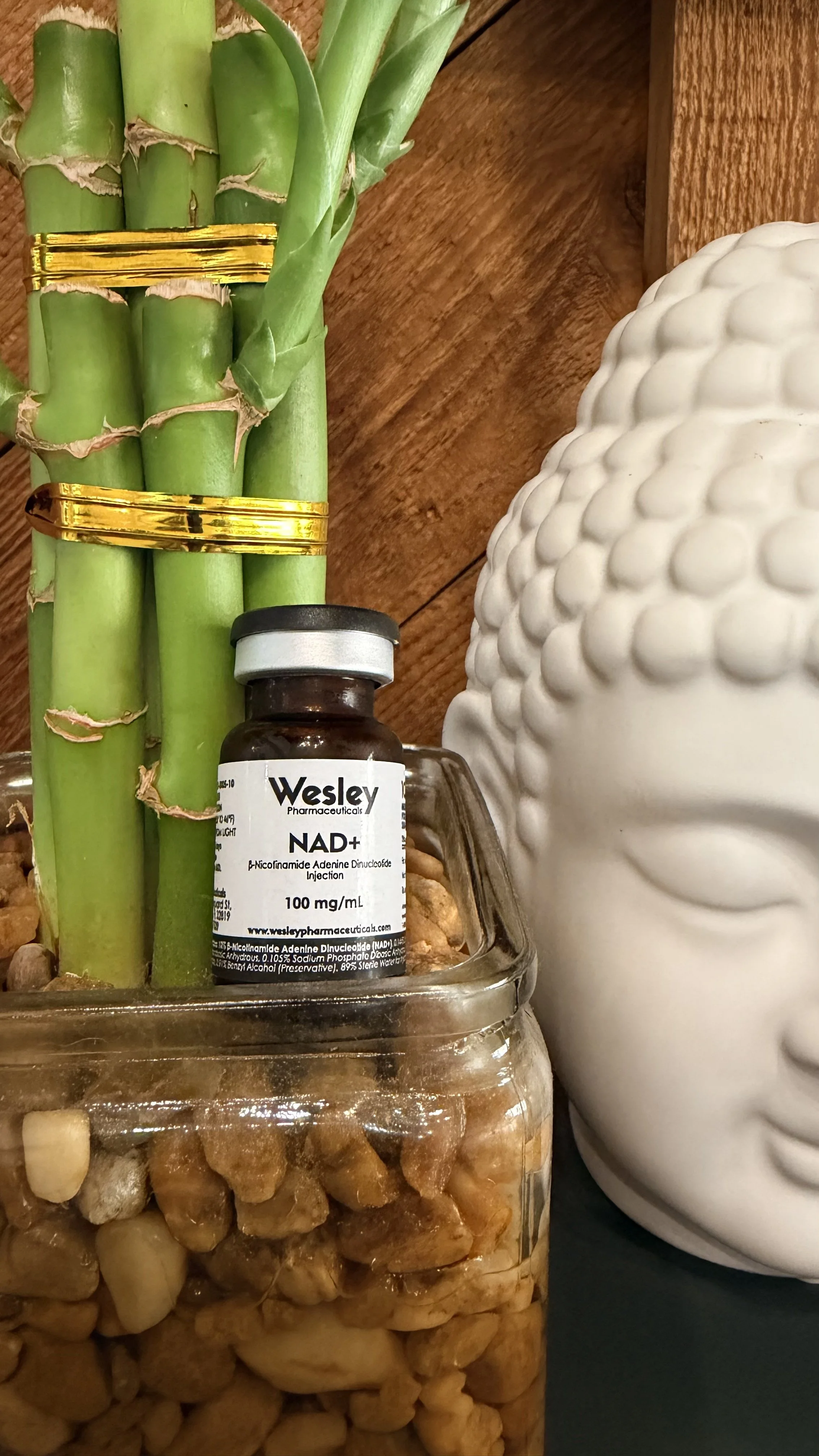 Close-up of a houseplant with green stalks, a small medication vial labeled 'Wesley NAD+', a large white decorative object resembling a brain, and a jar of pebbles or rocks.
