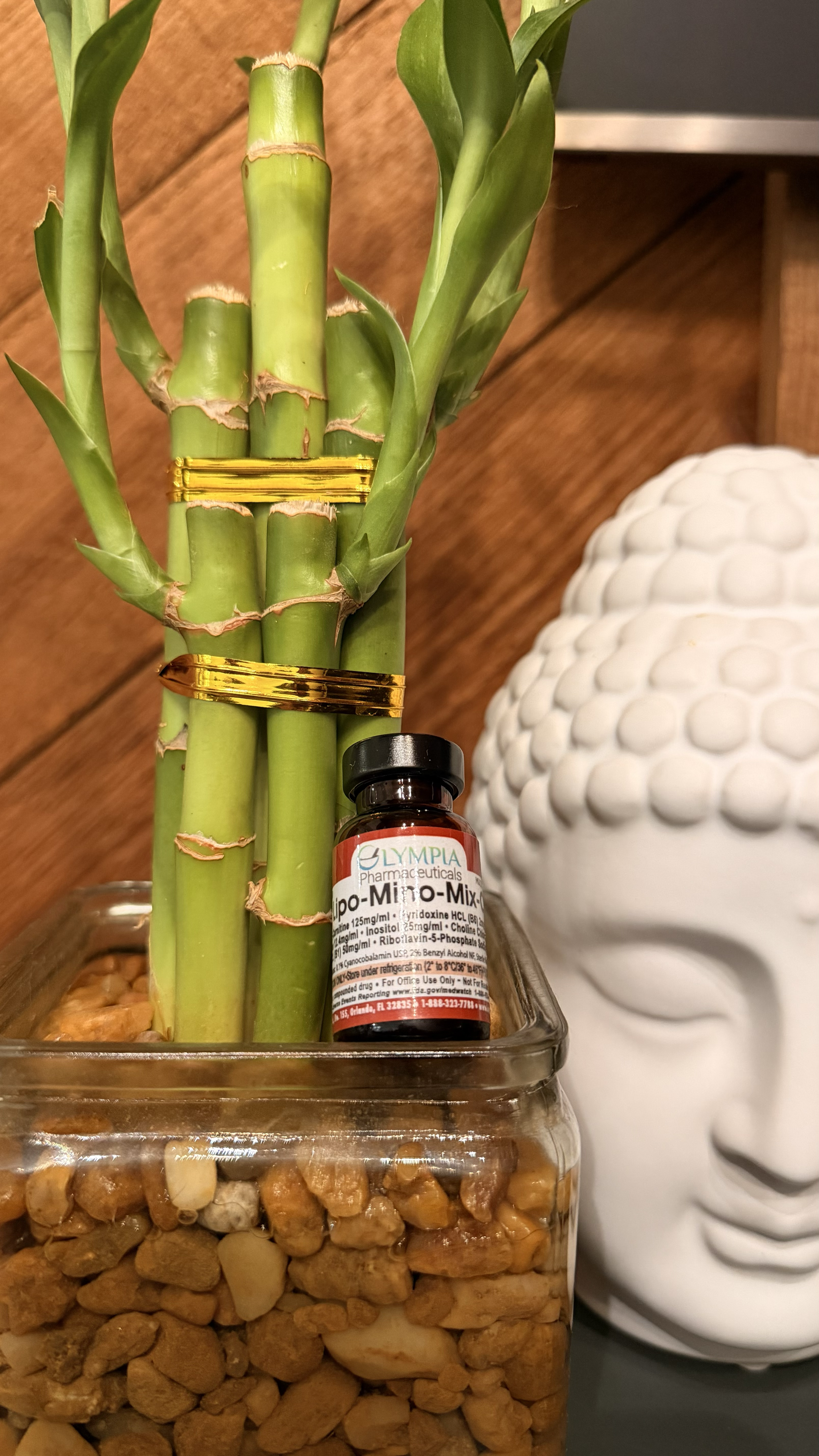A potted bamboo plant with gold bands, a small bottle of Olympia pharmaceuticals Po-Mino-Mix, a white textured Buddha head sculpture, and a wooden wall in the background.